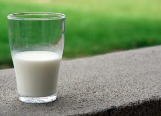 Jakie produkty mleczne są najlepsze dla dzieci w różnych grupach wiekowych