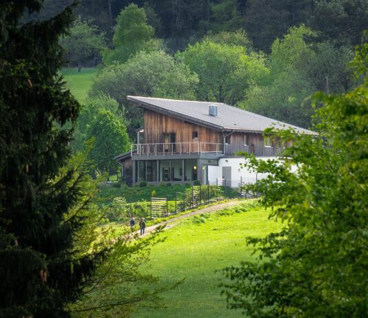 Panel ogrodzeniowy 4W-2200 mm – estetyczne i solidne zabezpieczenie Twojej posesji Panel ogrodzeniowy 4W-2200 mm